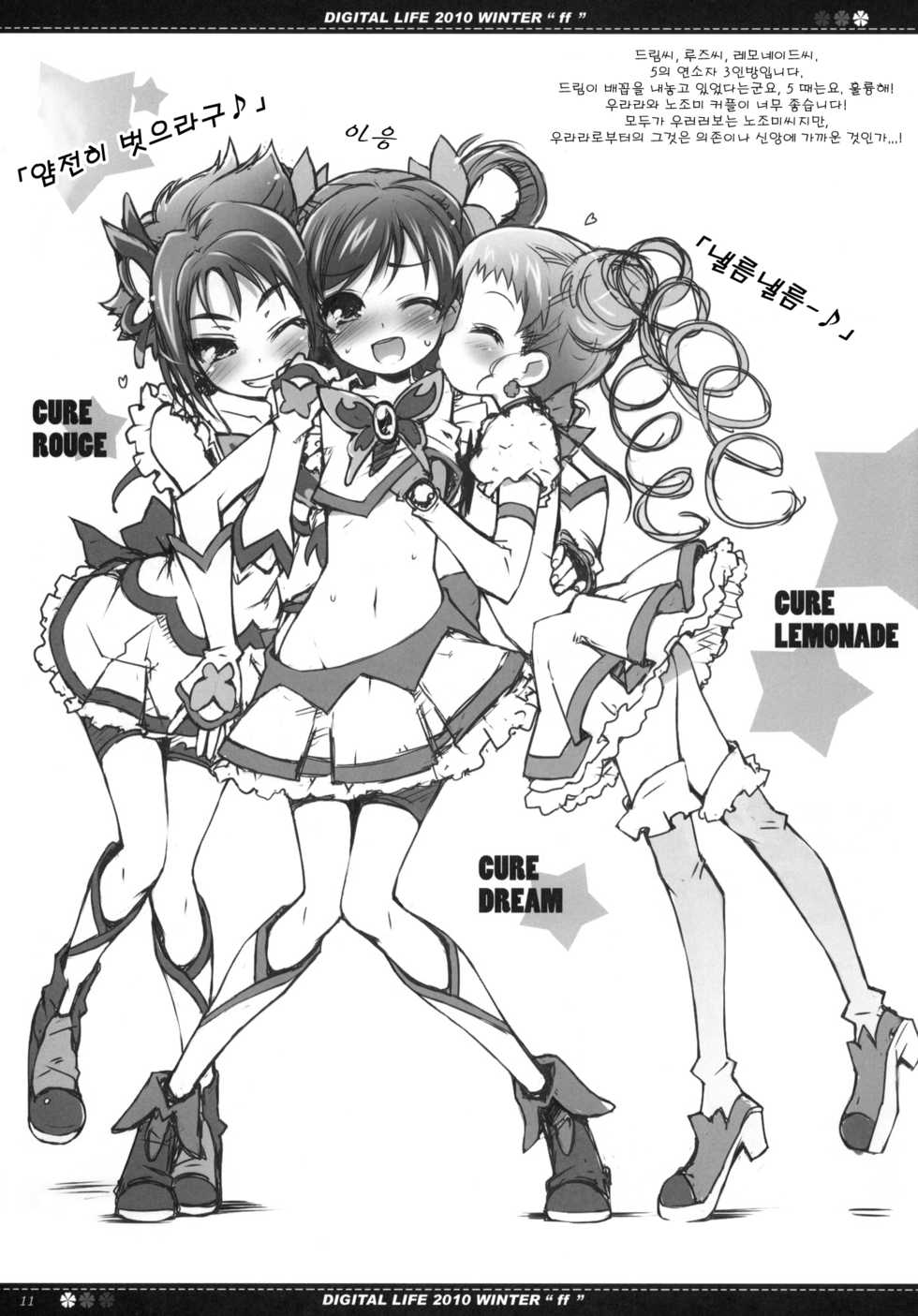 (C79) [life & Digital Flyer (Haga Yui & Ohta Yuuichi)] DIGITAL LIFE 2010 WINTER ff (Precure Series) (korean) - Page 10