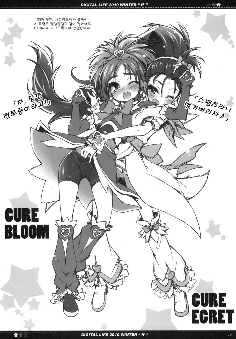 (C79) [life & Digital Flyer (Haga Yui & Ohta Yuuichi)] DIGITAL LIFE 2010 WINTER ff (Precure Series) (korean) - Page 11