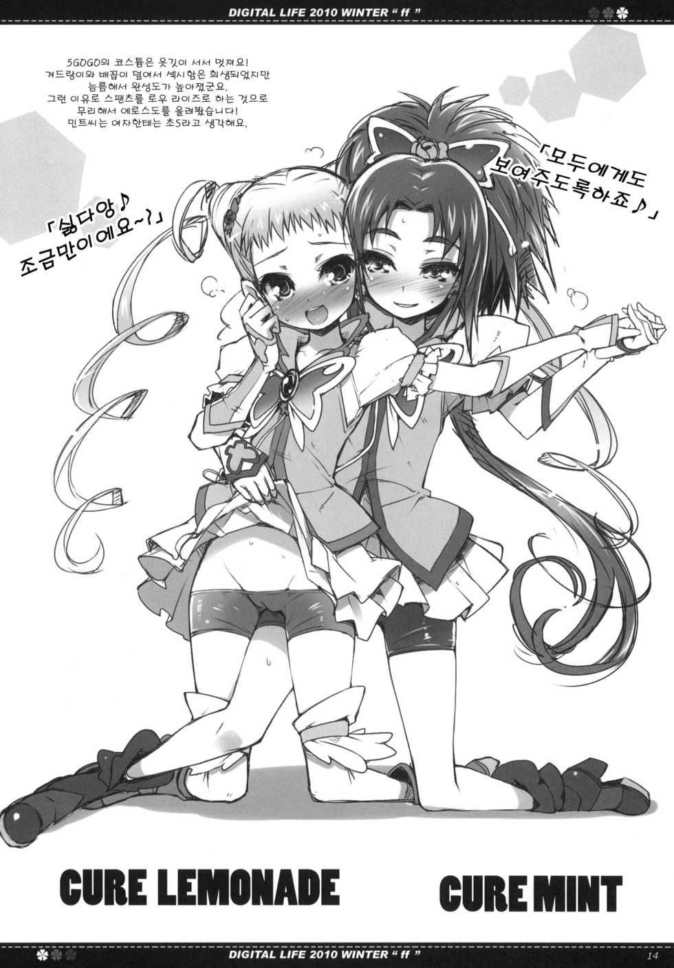 (C79) [life & Digital Flyer (Haga Yui & Ohta Yuuichi)] DIGITAL LIFE 2010 WINTER ff (Precure Series) (korean) - Page 13