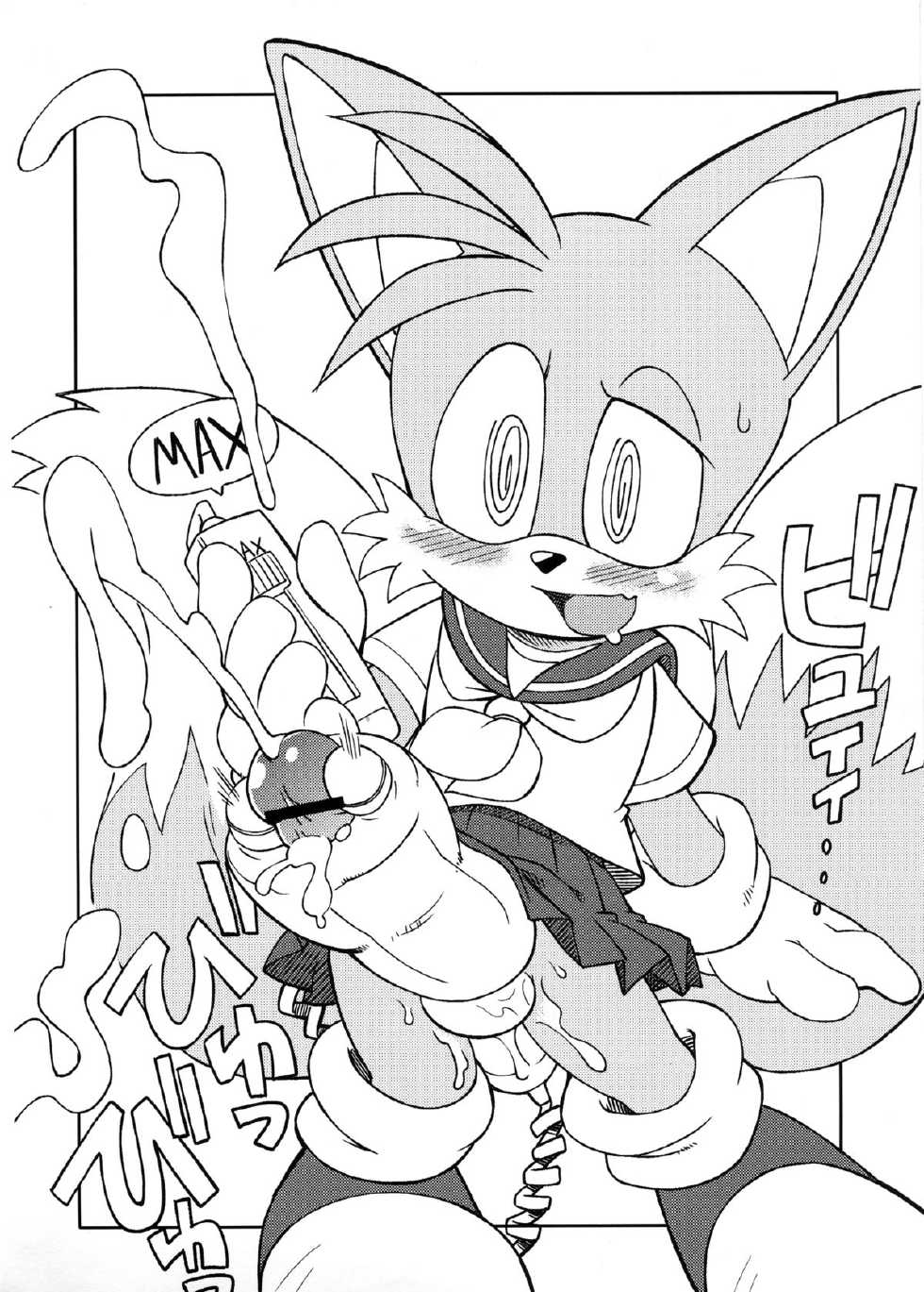 [Tengai Aku Juumonji (Akuno Toujou)] Tails Of Chomechome (Sonic The Hedgehog) - Page 10