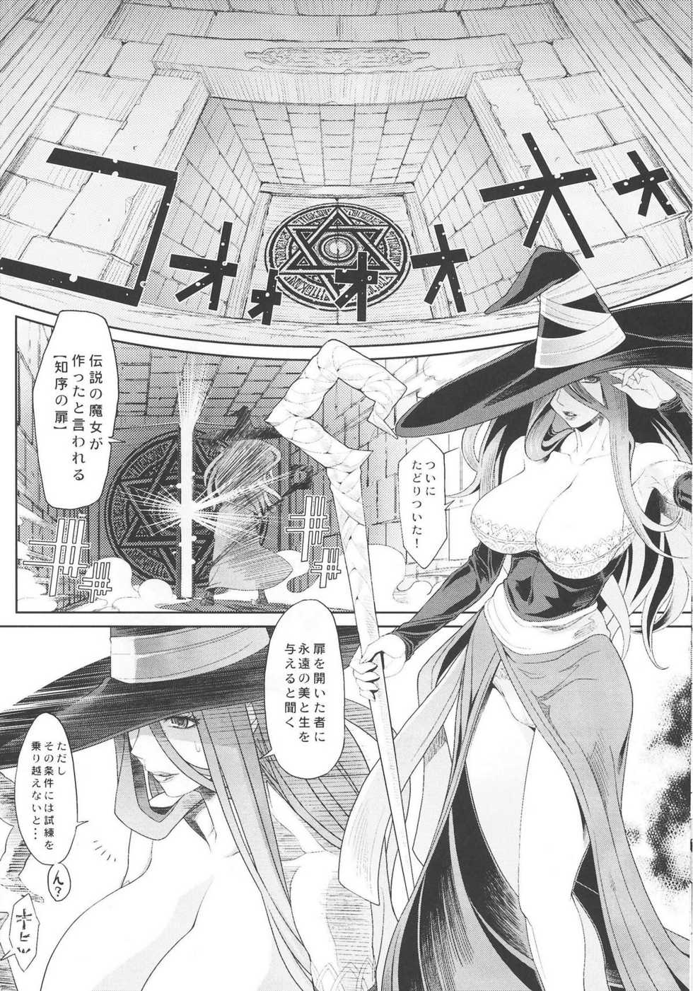 (C80) [Toluene Ittokan (Pierre Norano, Shinagawa Ham)] Ketsu! Megaton DC (Dragon's Crown) - Page 16