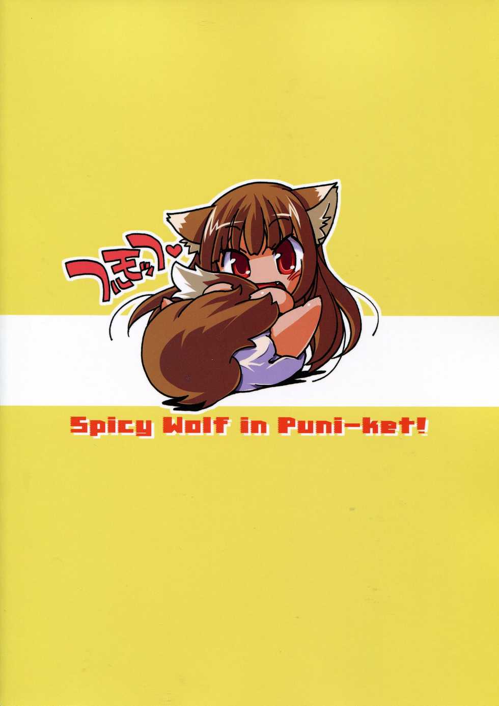 (C76) [Hina Prin (Ikuta Takanon)] Ookami no Younenki (Spice and Wolf) - Page 18