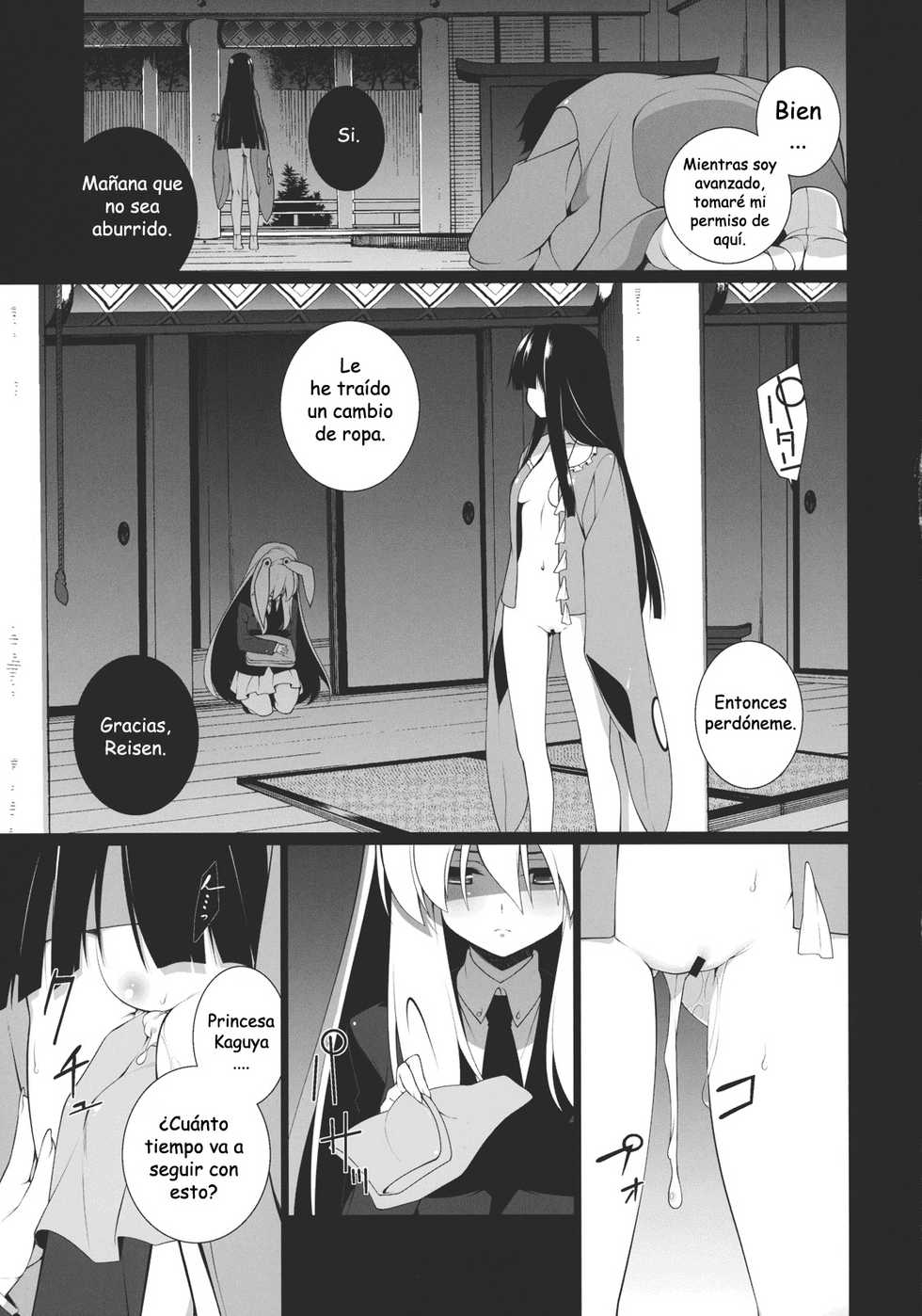 (C81) [TUKIBUTO (Hyoujyu Issei)] HI-Gin no Saji, Kuroi Tsuki (Touhou Project) [Spanish] {SumoneD} - Page 5