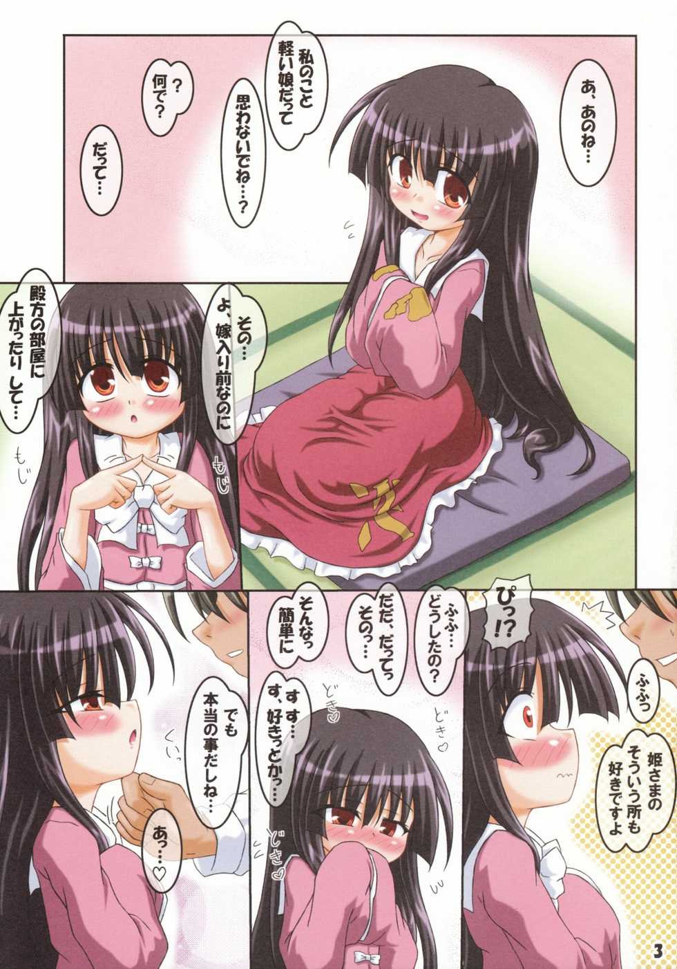 (Reitaisai 5) [Schwester (Inasaki Shirau)] Hime-sama no Eroi Hon (Touhou Project) - Page 2