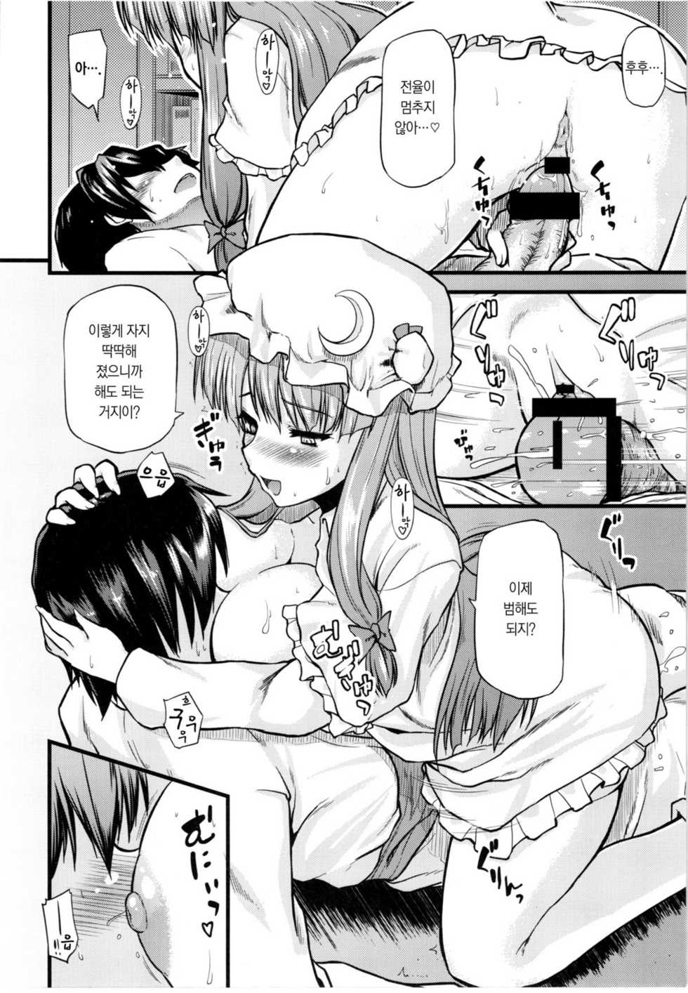 (C81) [from SCRATCH (Johnny)] Toshokan no Onee-san ga Ijimete Ageru. (Touhou Project) [Korean] [Project H] - Page 17