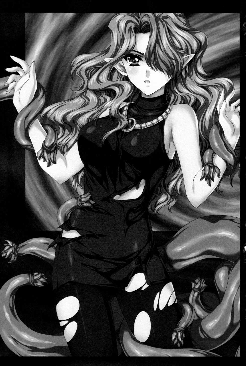 (C80) [Gin no Hoshitei] ANOTHER ZONE (Outerzone) [English] [SaHa] - Page 2