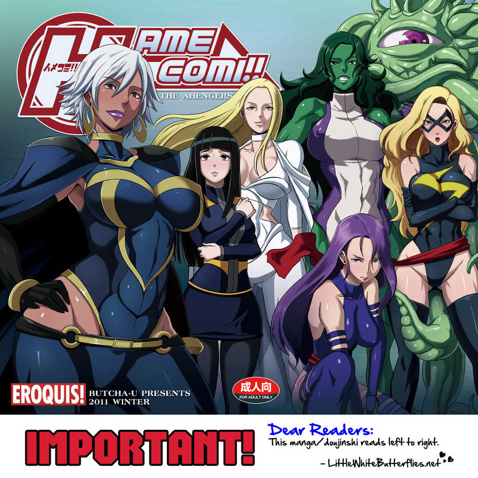 (C81) [Eroquis (Butcha-U)] HameComi! (Superheroes) [English] =Darknight+LWB= - Page 5
