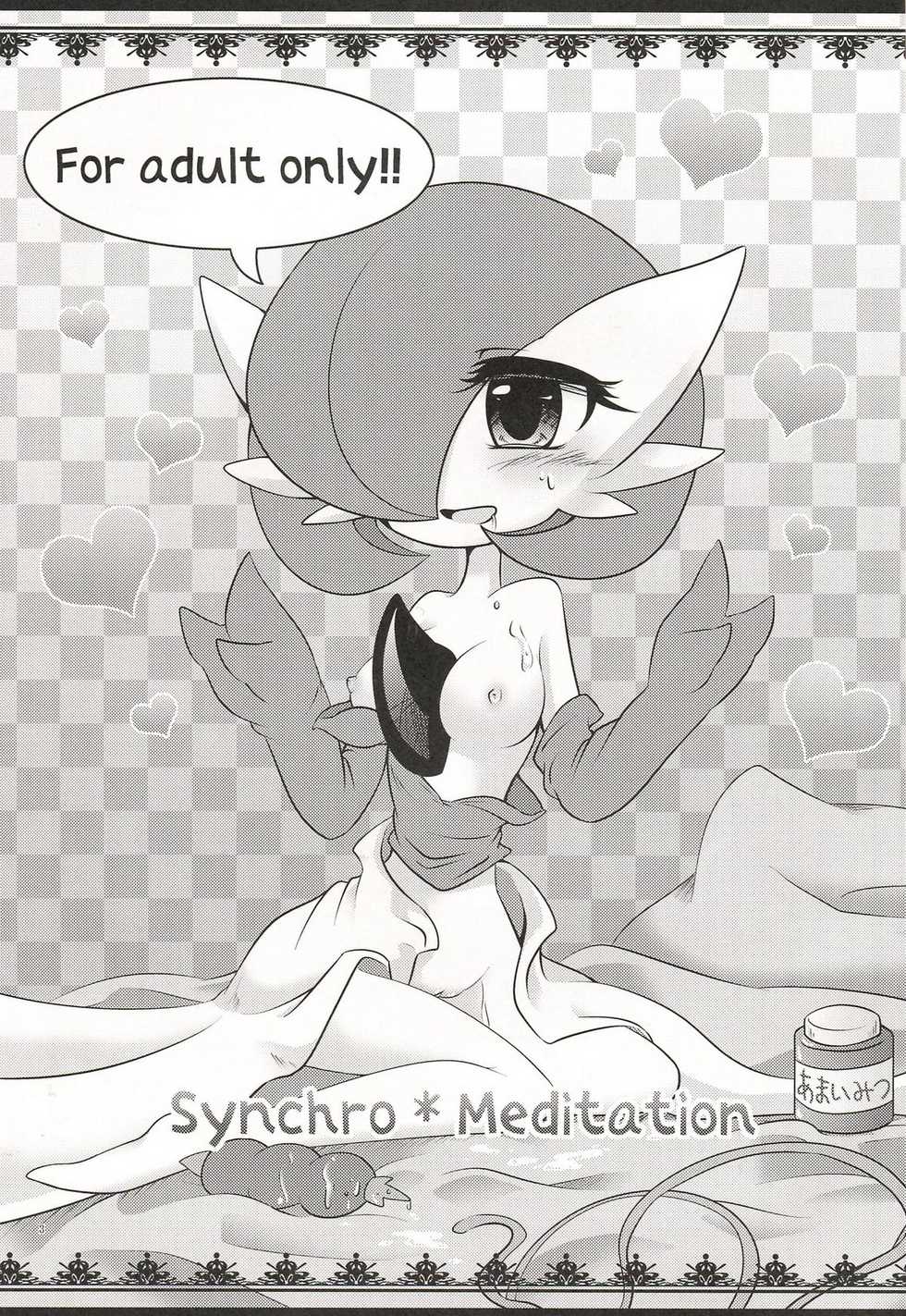 (C81) [Royal Moon (Various)] Synchro * Meditation (Pokémon) - Page 2