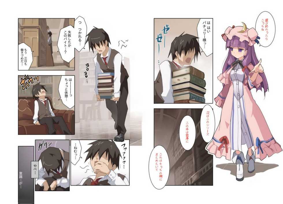 [Shishamo Publishers (sisyamo 2%)] Hakudaku Kouin Voile Toshokan (Touhou Project) - Page 9