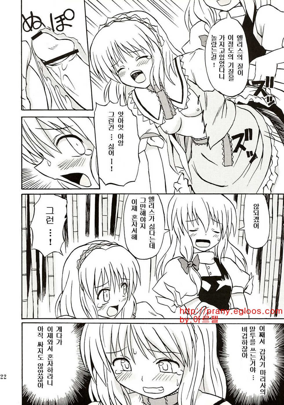 (C67) [Takaku-ya (Takaku Toshihiko)] Touhou Youjo Ranbu (Touhou Project) [Korean] - Page 21