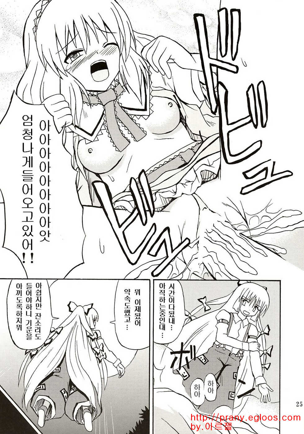 (C67) [Takaku-ya (Takaku Toshihiko)] Touhou Youjo Ranbu (Touhou Project) [Korean] - Page 24