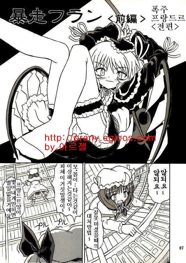 (Reitaisai 2) [Takakuya (Takaku Toshihiko)] Touhou Youjo Ranbu 2 (Touhou Project) [Korean] - Page 6