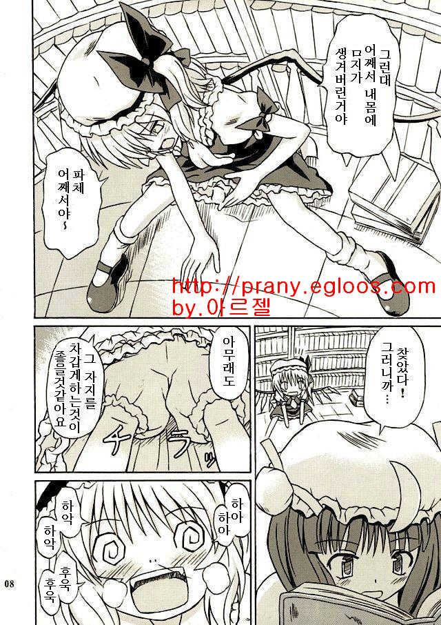 (Reitaisai 2) [Takakuya (Takaku Toshihiko)] Touhou Youjo Ranbu 2 (Touhou Project) [Korean] - Page 7
