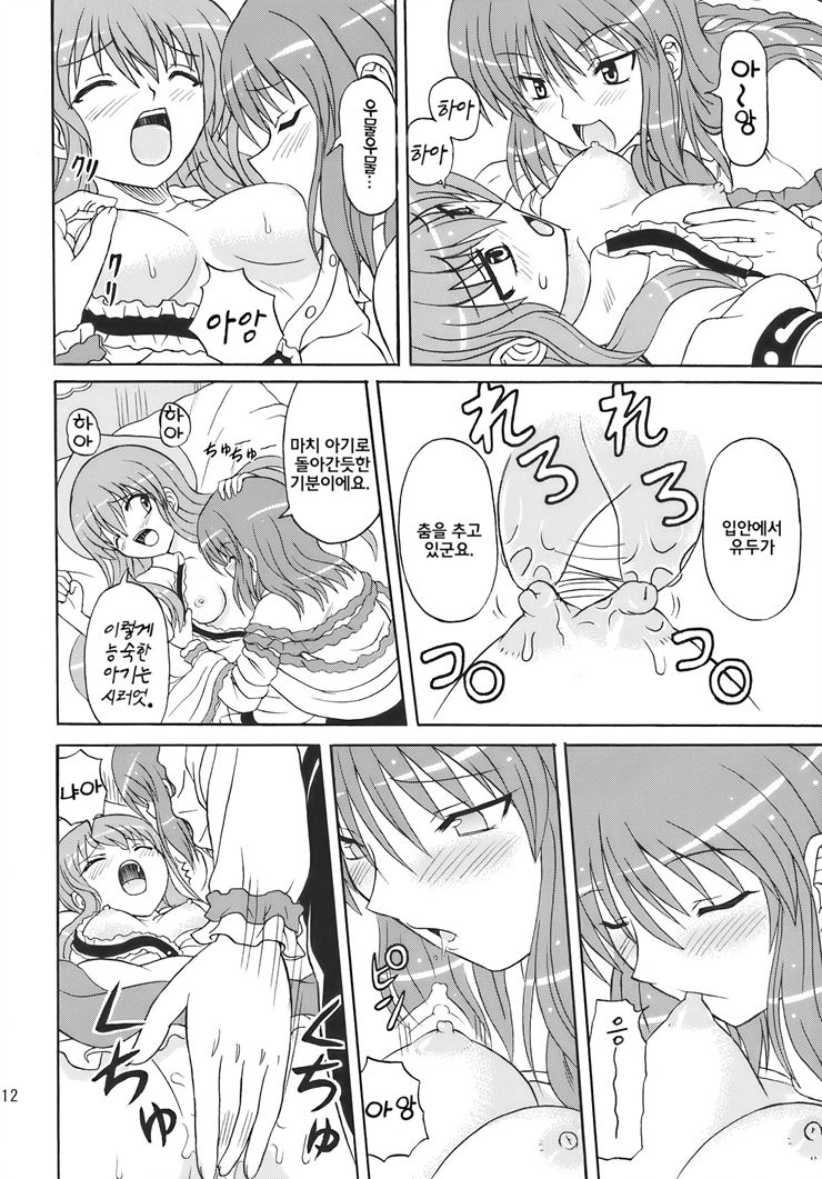 (C77) [Takakuya (Takaku Toshihiko)] Touhou Youjo Ranbu 10 (Touhou Project) [Korean] - Page 11