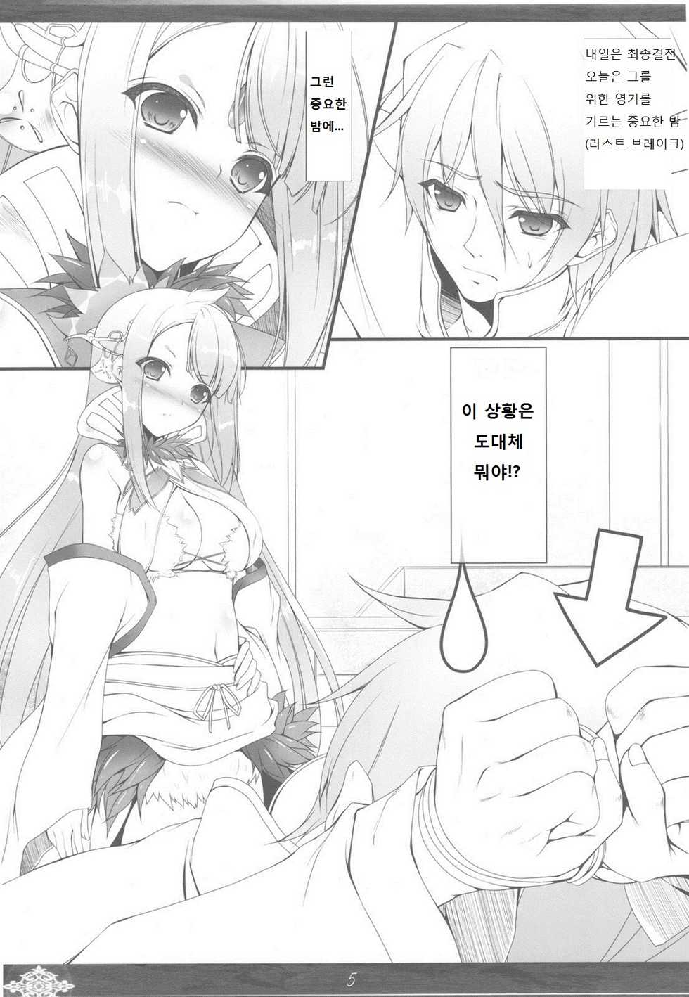 (C78) [In The Sky (Nakano Sora)] Princess Judgment (Luminous Arc 3) [Korean] - Page 5