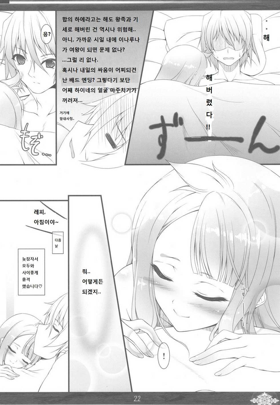 (C78) [In The Sky (Nakano Sora)] Princess Judgment (Luminous Arc 3) [Korean] - Page 22