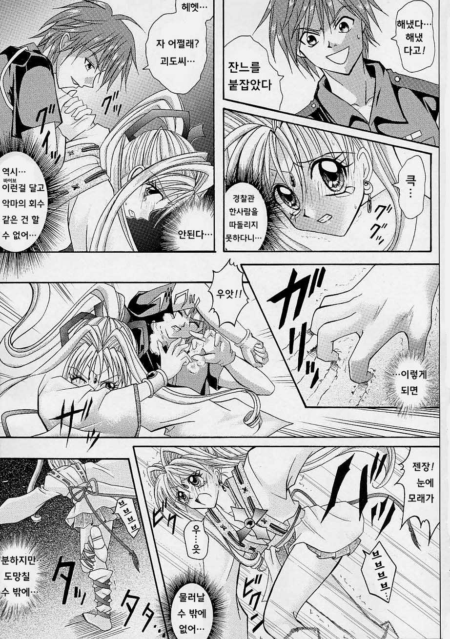 (C61) [Cyclone (Reizei, Izumi Kazuya)] Rogue Spear (Kamikaze Kaitou Jeanne) [Korean] - Page 30