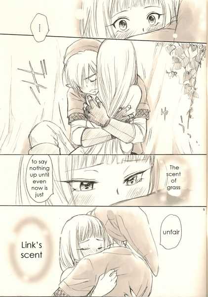 (C81) [Yamaguchirou (Yamaguchi Shinji)] Ero sou de, Ero janai, Sukoshi Eroi Zelda | Quite erotic, not that erotic, a bit erotic Zelda (The Legend of Zelda) [English] - Page 5