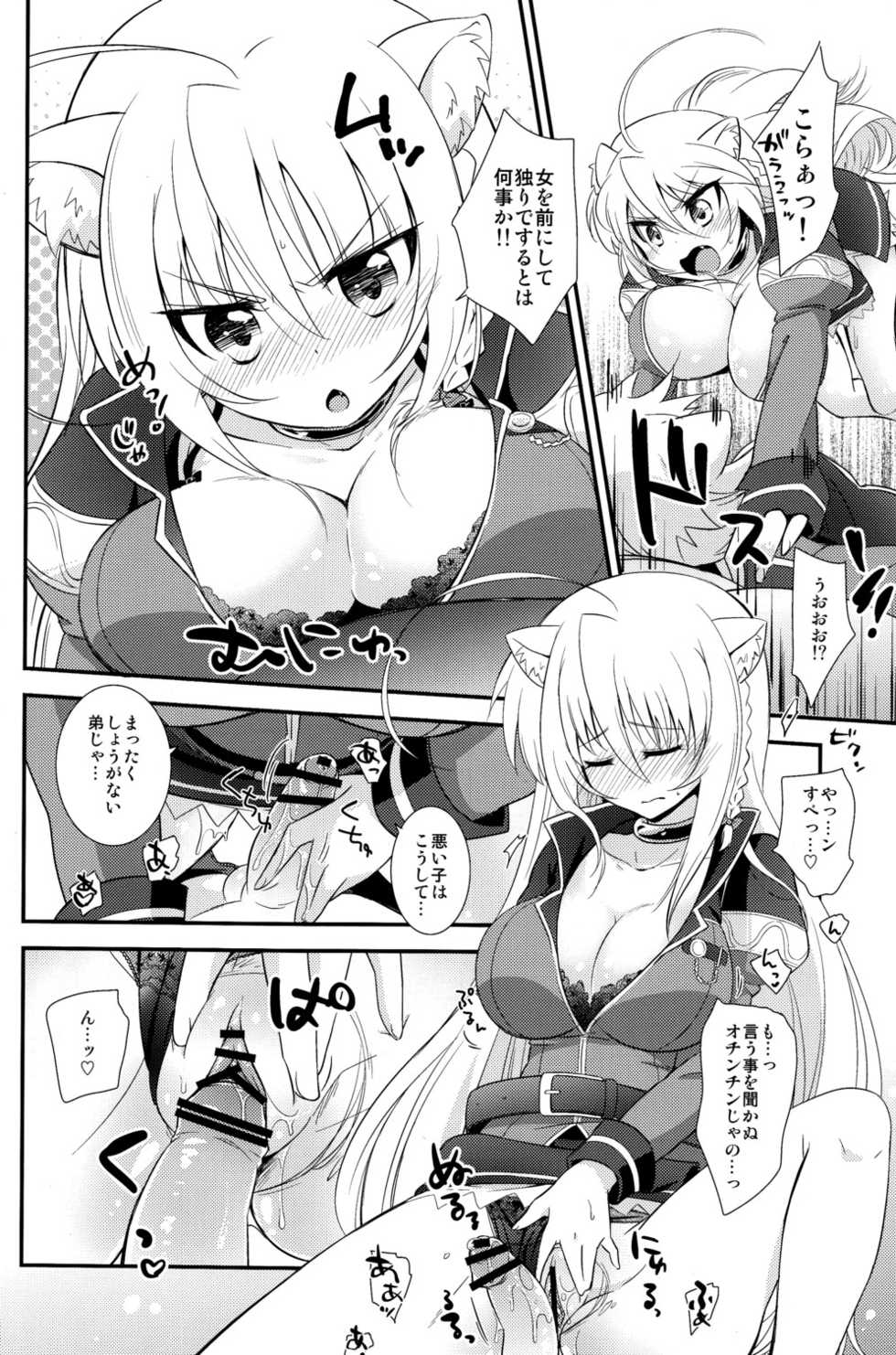 [Fuwawa (Oki no Matsushiro)] Aneue no Iu Toori (Dog Days) - Page 14