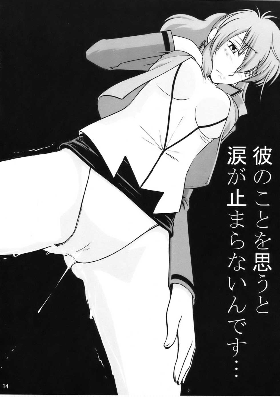 (C75) [TOLUENE ITTOKAN (Pierre Norano)] KETSU!MEGATON DY (Gundam 00) - Page 14