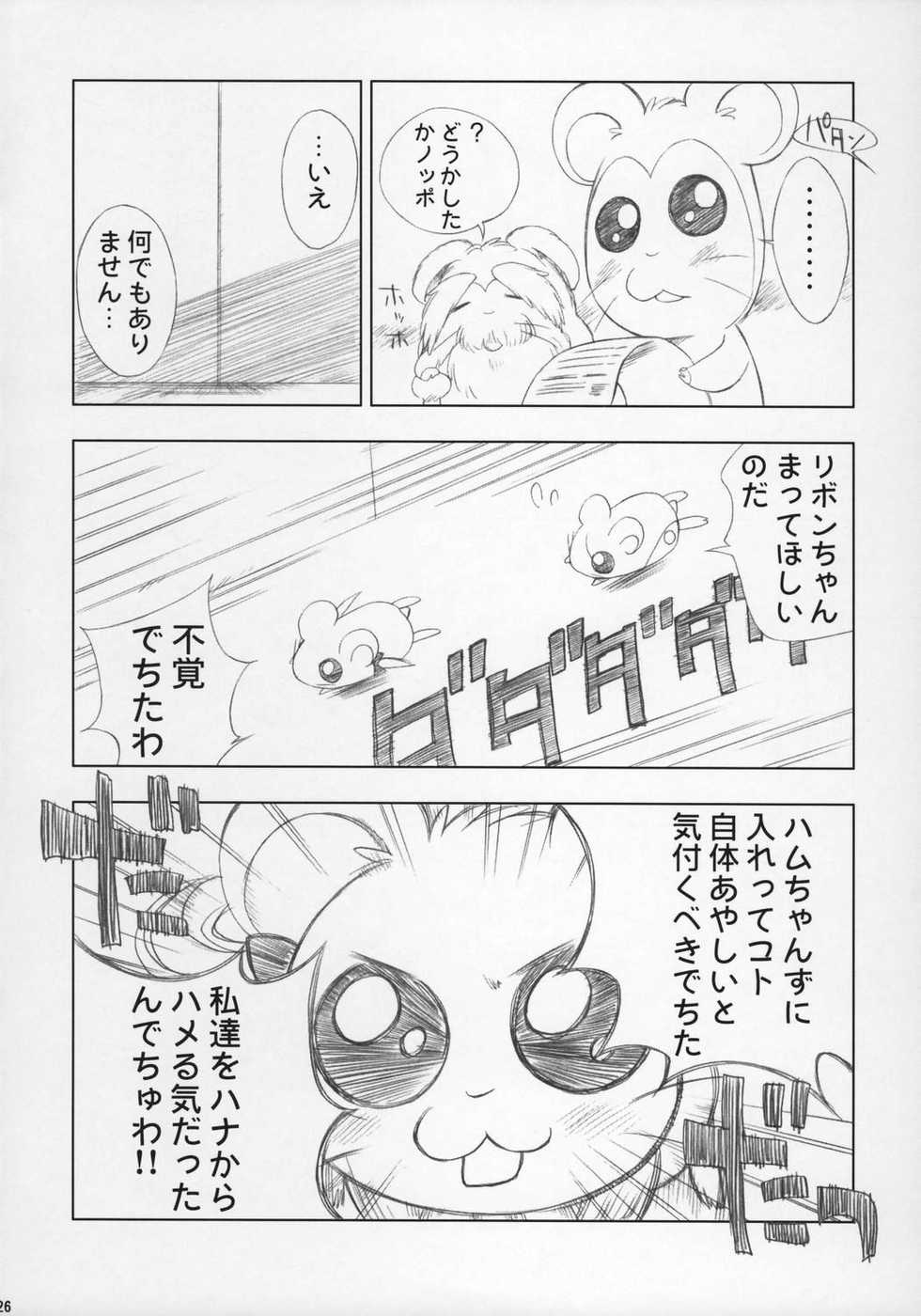 (C66) [Furaipan Daimaou (Chouchin Ankou)] ESCAPE FROM THE PLANET OF THE HAMS (Hamtaro) - Page 25