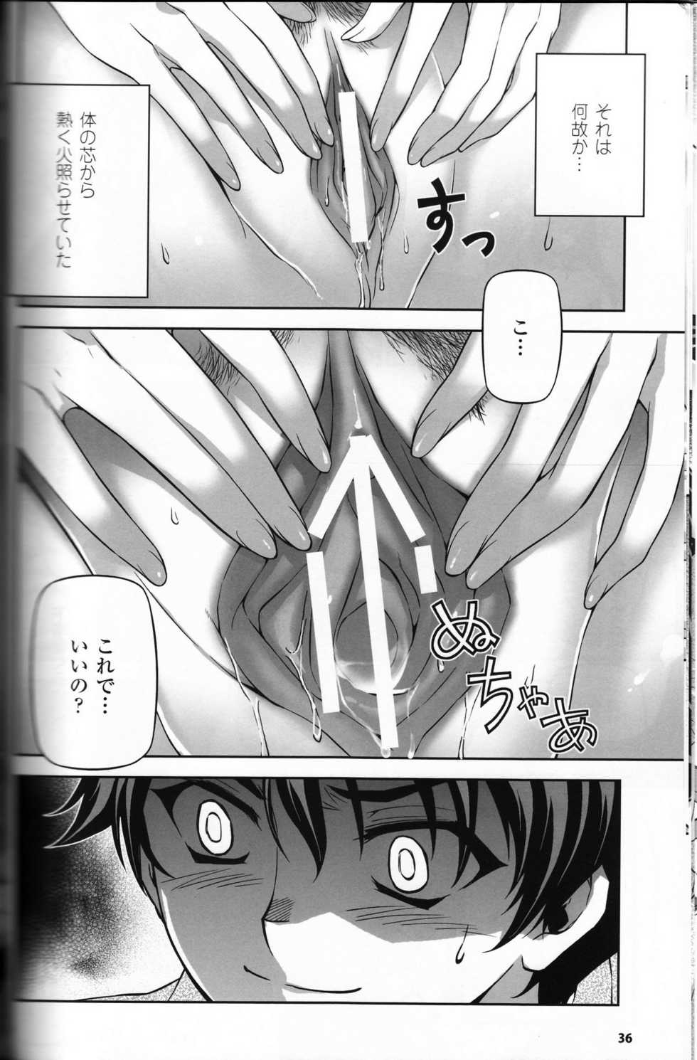 (C81) [CDPA (Various)] CROSS MAKE 2011 WINTER (Freezing, Unbalance x Unbalance) - Page 34