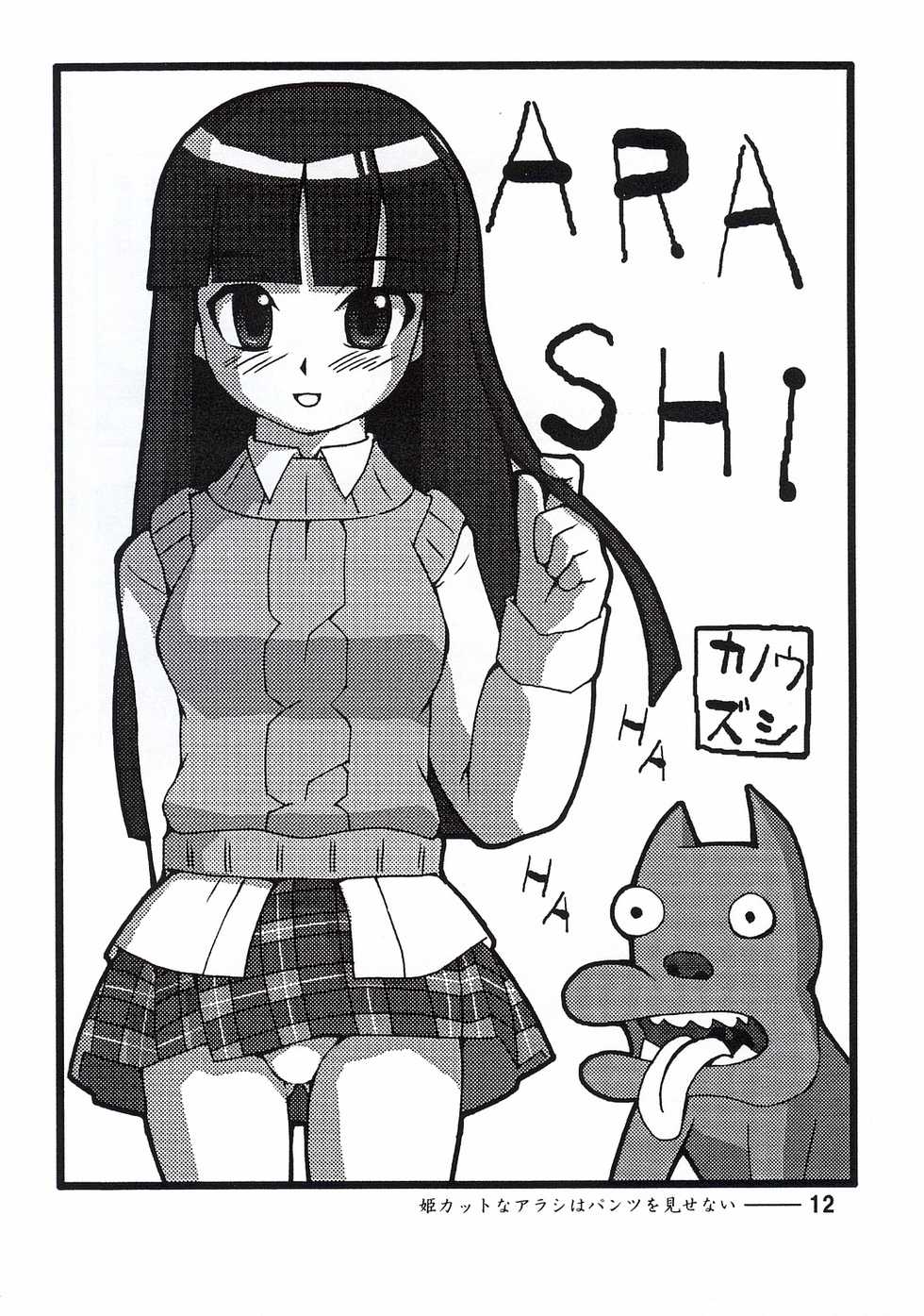 (C64) [Style-C3 (Various)] Hime Cut na Arashi wa Pantsu o Misenai. (Gad Guard) - Page 11