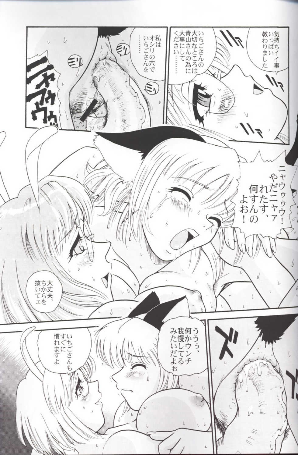 (CR33) [Behind Moon (Q)] Hamekko Doubutsu (Tokyo Mew Mew) - Page 18