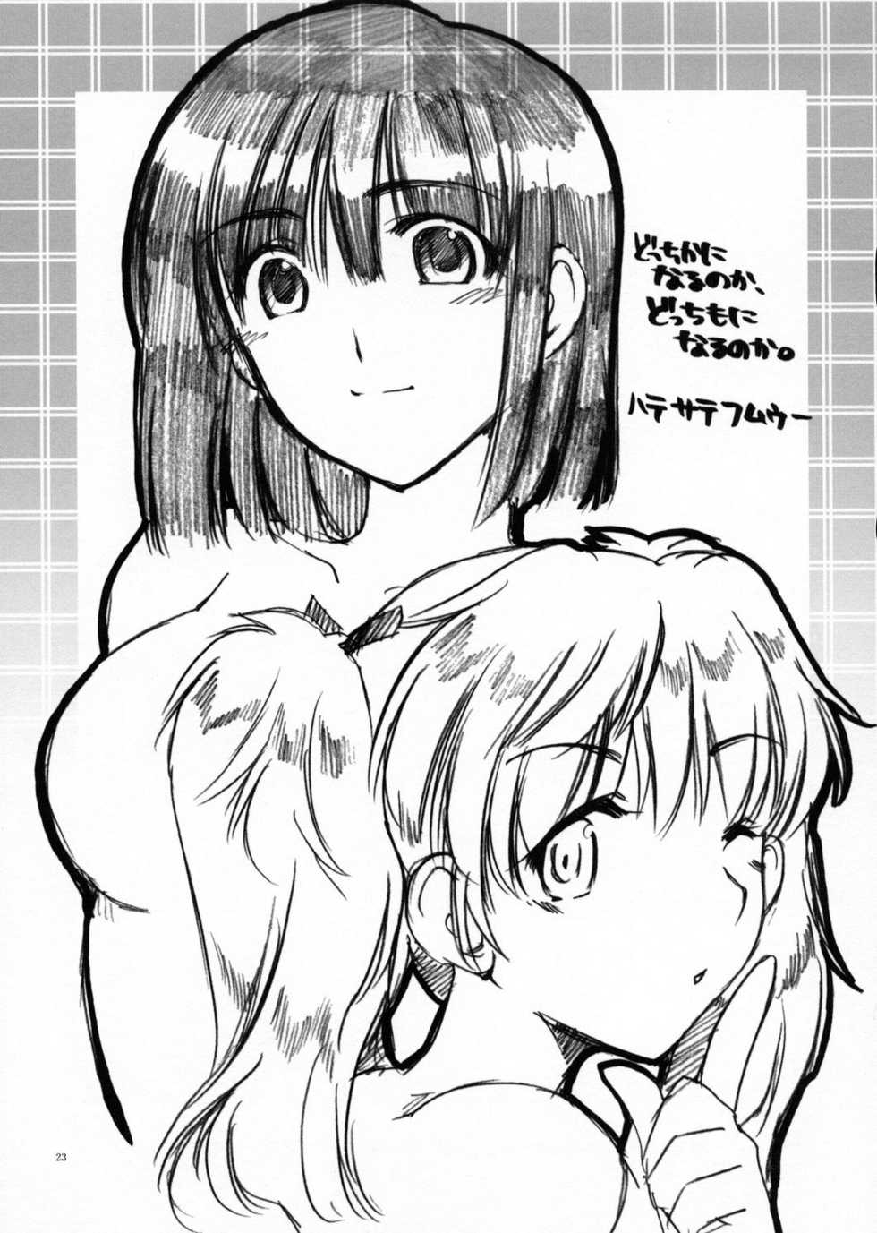 (SC22)[AKABEi SOFT (Alpha)] Yakumo Hon (School Rumble) - Page 22
