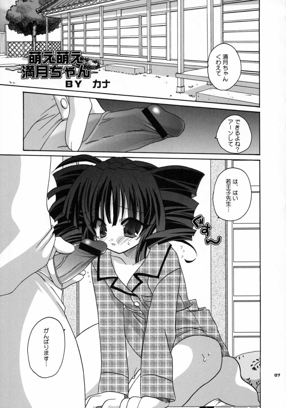 (C62) [Kimpotsu (Kana)] CRULLER 5 (Full Moon o Sagashite) - Page 6