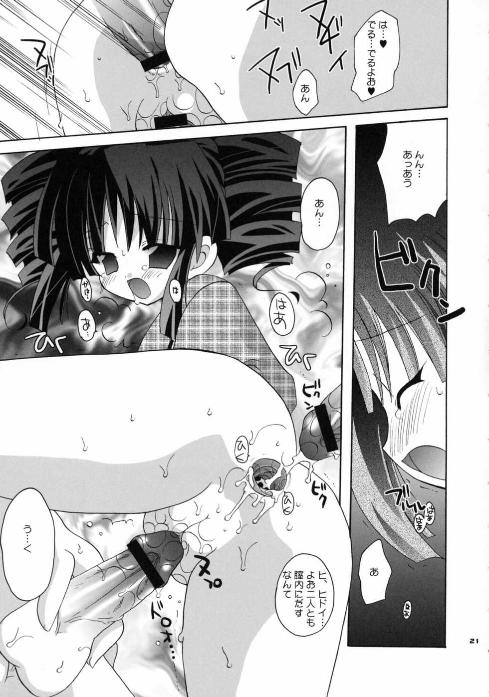 (C62) [Kimpotsu (Kana)] CRULLER 5 (Full Moon o Sagashite) - Page 20