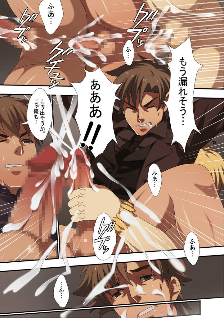 [Sugartiger] NEW OR OLD (Fate/Zero) - Page 13