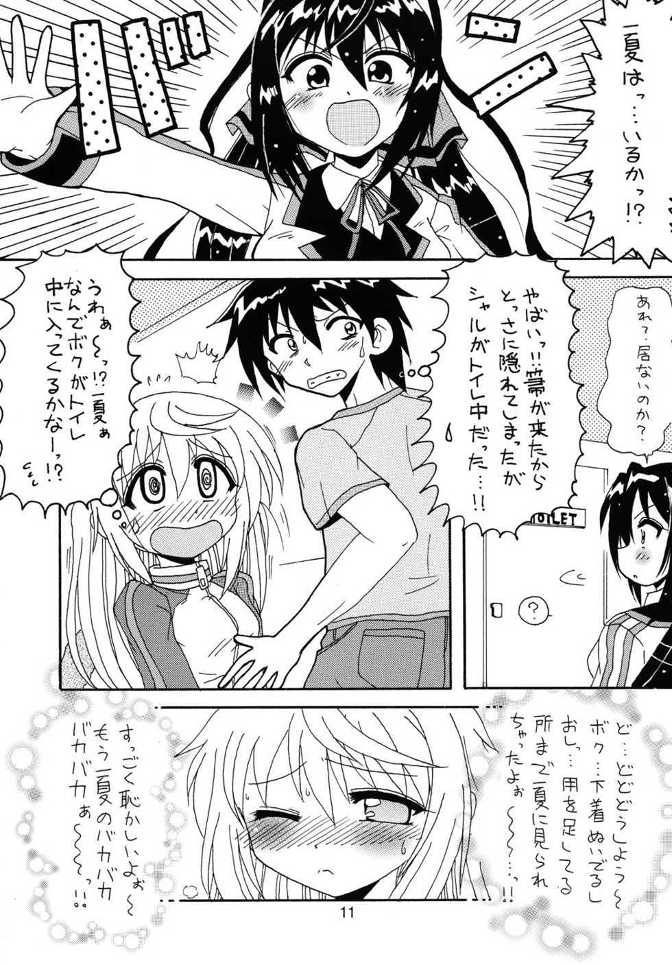 [Tsuchineko (Hayama, Kamihara Mizuki)] Shiyo! (Infinite Stratos) - Page 10