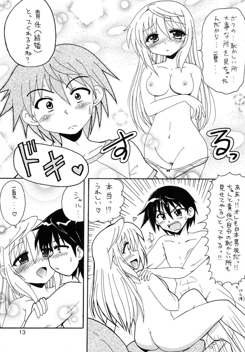 [Tsuchineko (Hayama, Kamihara Mizuki)] Shiyo! (Infinite Stratos) - Page 12