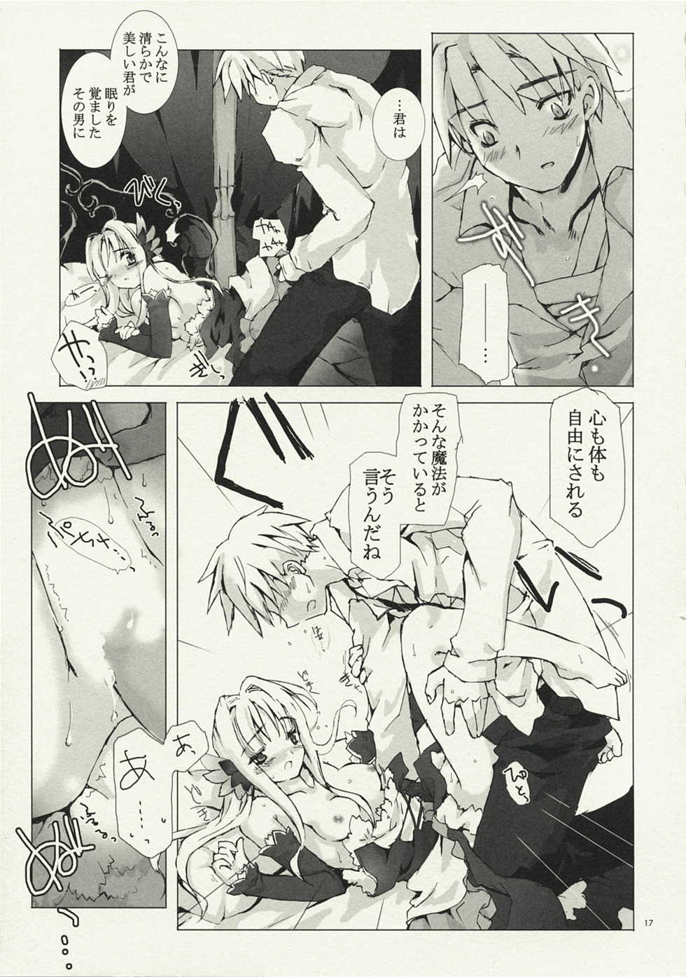 (C74) [Gensou Kuukan (Mizuhara Mei)] Aoi Kotori wa Kimi no Tameni Utau (Odin Sphere) - Page 17