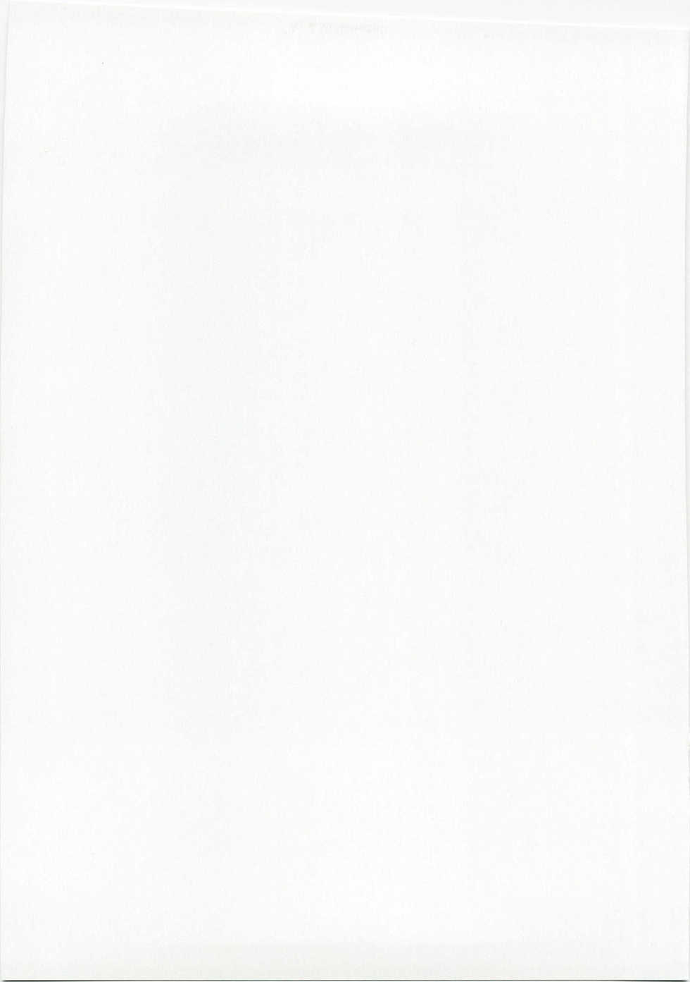 (C74) [PH (TAM)] Kagamin no Okuchi kara Love go Gecchu (Lucky Star) - Page 30