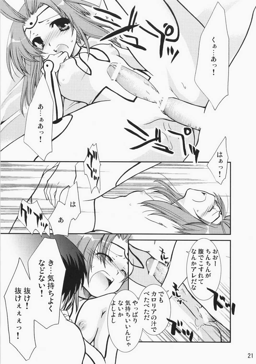(C71) [CHAGASHI SAIBAN (Yamabuki Mook)] Super Supaiorora No Bikkuri Doki Doki Daisakusen (AliceSoft) - Page 20