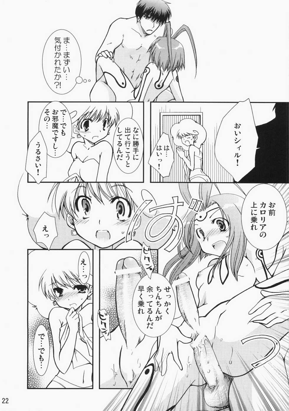 (C71) [CHAGASHI SAIBAN (Yamabuki Mook)] Super Supaiorora No Bikkuri Doki Doki Daisakusen (AliceSoft) - Page 21