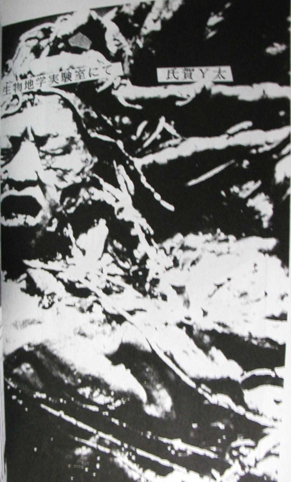 [Igyou Nami Club (Various)] Doku Doku Soushuuen - Page 6