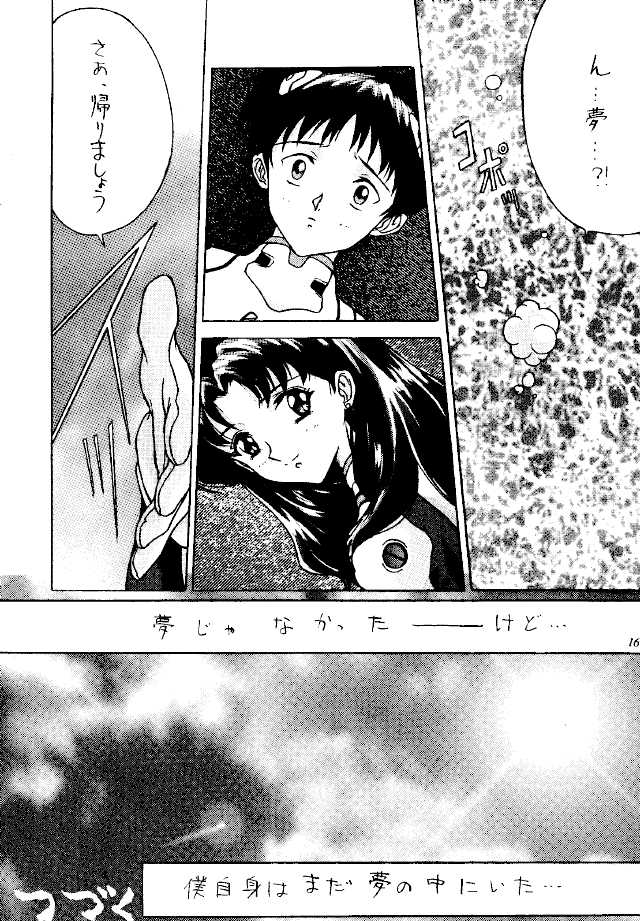 [Reds! (Various)] Foolish (Neon Genesis Evangelion) - Page 15
