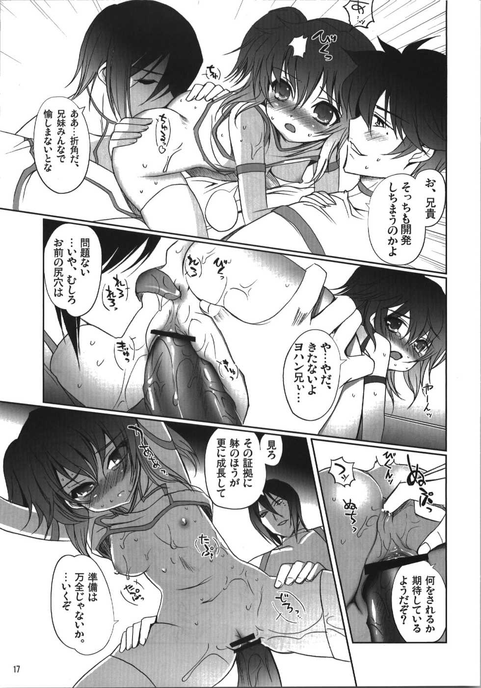 (C74) [Nippon Teikoku Toshokan (Kiya Shii, Hanpera)] Nena Typhoon (Gundam 00) - Page 17
