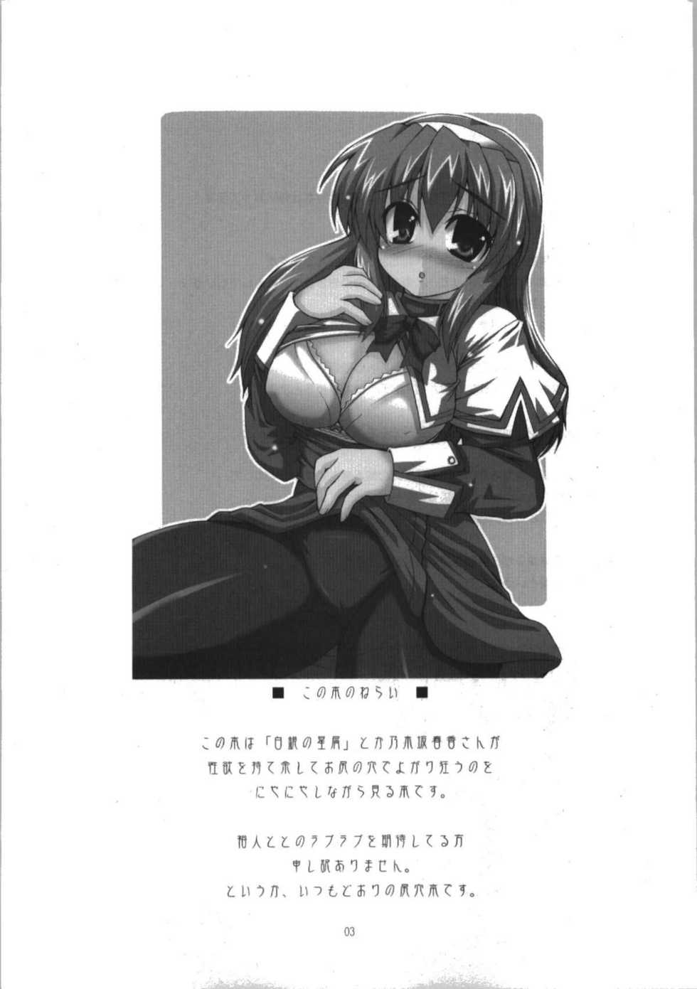 (C74) [Hard Puncher Maniax (Shibahara Gocho)] Haruka Secret Service (Nogizaka Haruka no Himitsu) - Page 3
