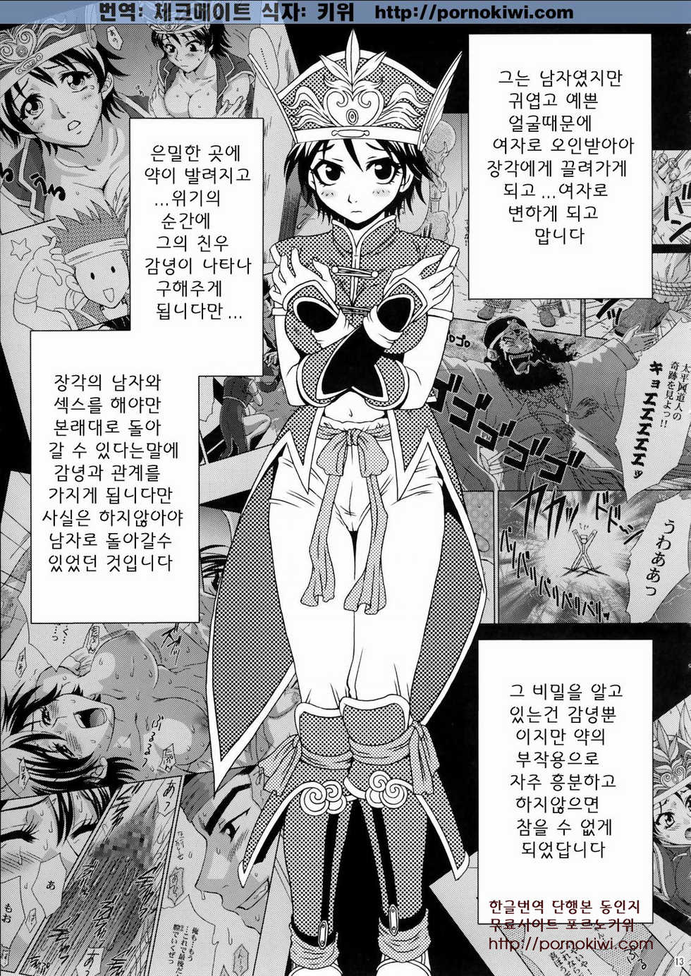 (C66) [U.R.C (Momoya Show-Neko)] Rikuson-chan ~Lovely Gunshi no Himitsu~ (Dynasty Warriors) [Korean] [Pornokiwi] - Page 12