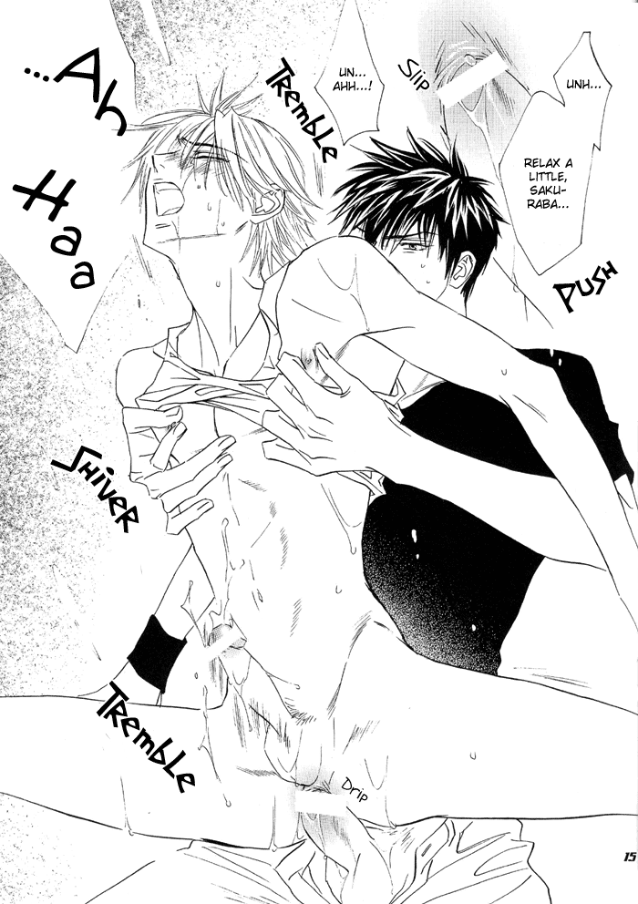 [Cornflake (Conami Shoko, Tohjoh Asami)] Super Nova (Eyeshield 21) [English] {Dragonfly} - Page 15