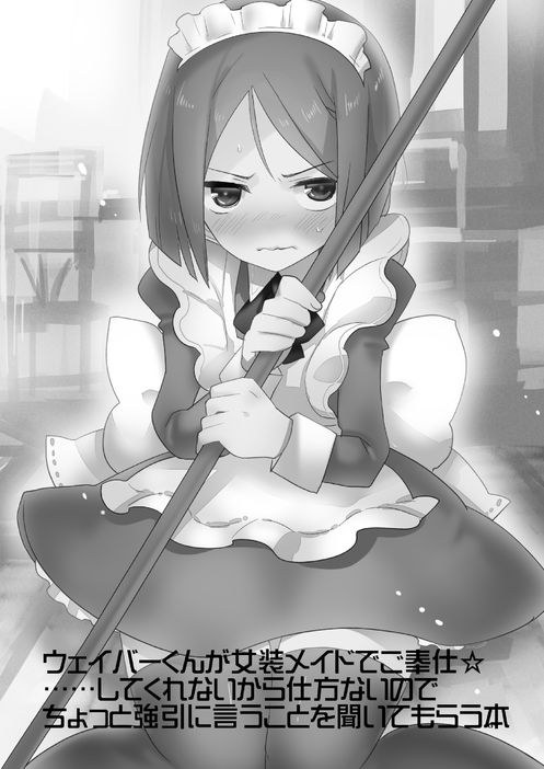 [Clear Glass] Waver kun ga Josou Maid de Gohoushi ... Shitekurenai kara Shikatanai node Chotto Gouin ni Iukoto wo Kiitemorau Hon (Fate/Zero) - Page 5