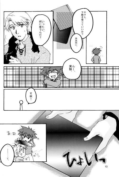 (HaruCC8) [Ishigamiya (Utsugi Iminashi)] Ereki (Digimon Adventure 02) - Page 10