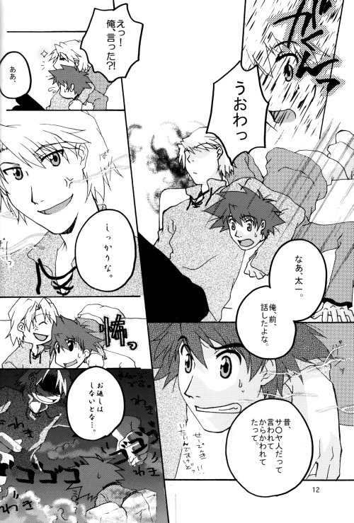 (HaruCC8) [Ishigamiya (Utsugi Iminashi)] Ereki (Digimon Adventure 02) - Page 12