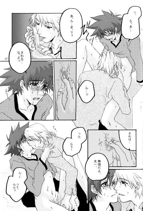 (HaruCC8) [Ishigamiya (Utsugi Iminashi)] Ereki (Digimon Adventure 02) - Page 17