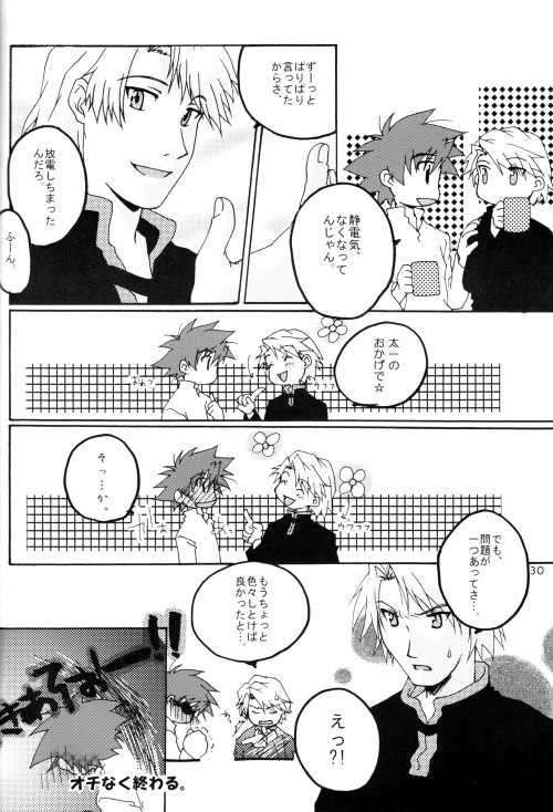 (HaruCC8) [Ishigamiya (Utsugi Iminashi)] Ereki (Digimon Adventure 02) - Page 31