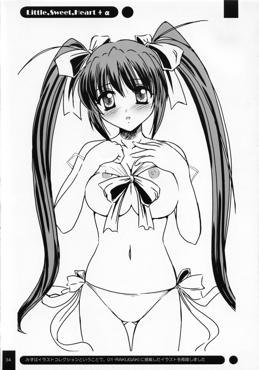 (Kyonyuukko 2) [NAMITAMA (Katsumi Kouichi)] Little,Sweet,Heart + α - Page 33